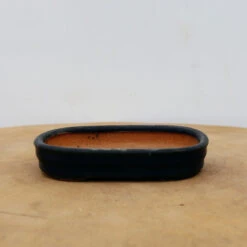 4" Glazed Tokoname Pot - Hattori(No. 1500)