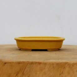 4" Glazed Tokoname Pot - Koyo(No. 1501)