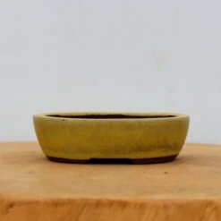 4" Glazed Tokoname Pot - Yozan(No. 1502)