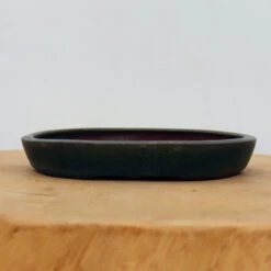6" Tokoname Bonsai Pot - Yamaaki(No. 1507)