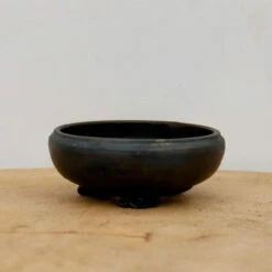 3" Tokoname Bonsai Pot - Reiju(No. 1509)