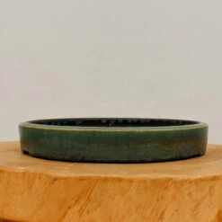 9" Tokoname Bonsai Pot - Koyo(No. 1518)
