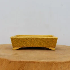 6" Tokoname Bonsai Pot - Koyo (No. 1522)