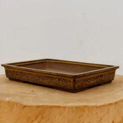 9" Tokoname Bonsai Pot - Yozan (No. 1526)