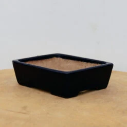 5" Tokoname Bonsai Pot - Yamafusa (No. 1528)