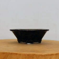 6" Glazed Tokoname Pot - Senzan(No. 1568)