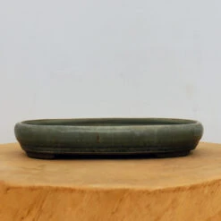 9" Tokoname Pot - Togui(No. 1577)