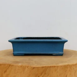 8" Tokoname Pot - Koyo(No. 1579)