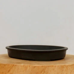 11" Tokoname Pot - Suishoen(No. 1582)