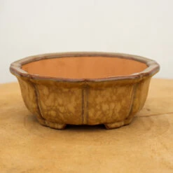 5" Glazed Yixing Bonsai Pot (No. 1095b)