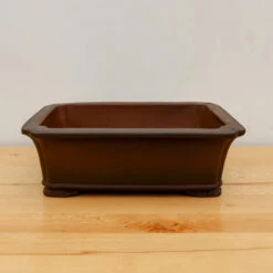 11-Inch Unglazed Yixing Bonsai Pot (No. 2453)