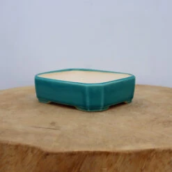 5-Inch Glazed Yixing Bonsai Pot (No. 2025)