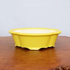 9" Yellow Glazed Yixing Bonsai Pot (No. 2105)