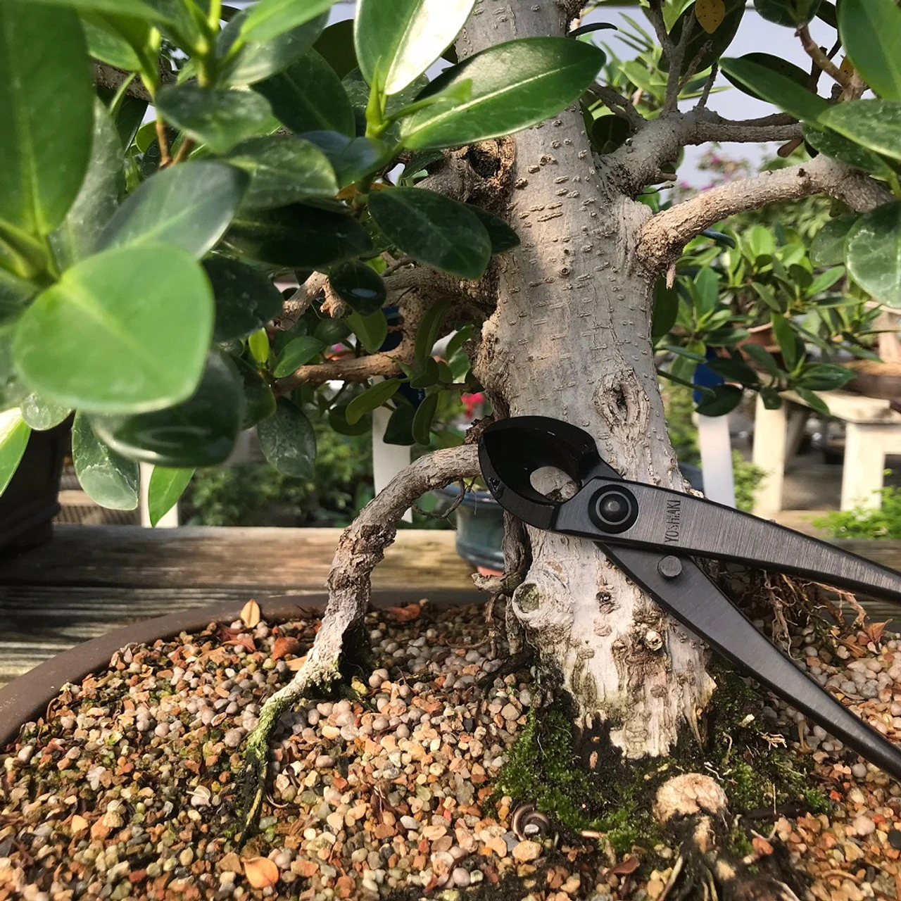 Yoshiaki Round-Blade / Spherical Concave Cutter - Image 4