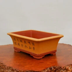 12" Etched Yixing Bonsai Pot (No. 2182)