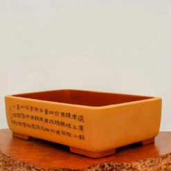 18" Etched Yixing Bonsai Pot (No. 2227)