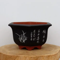 11" Etched Yixing Bonsai Pot (No. 2247)