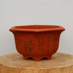 11" Etched Yixing Bonsai Pot (No. 2244)