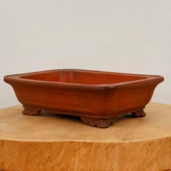 9" Etched Yixing Bonsai Pot (No. 2262)