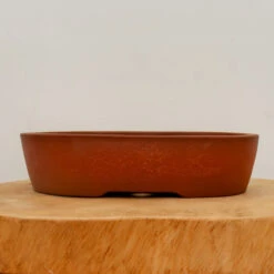 9" Etched Yixing Bonsai Pot (No. 2269)