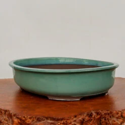 15-16" Green Glazed Japanese Bonsai Pot (No. 1547)