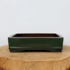 10-Inch Glazed Yixing Bonsai Pot (No. 2315m)