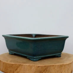 11-Inch Glazed Yixing Bonsai Pot (No. 2304e)