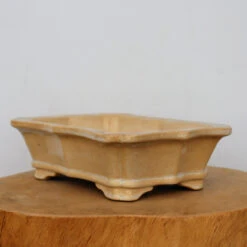 11-Inch Glazed Yixing Bonsai Pot (No. 2310e)