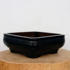 9-Inch Glazed Yixing Bonsai Pot (No. 2303a)