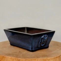 9-Inch Glazed Yixing Bonsai Pot (No. 2312a)