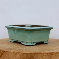 8-Inch Glazed Yixing Bonsai Pot (No. 2316b)