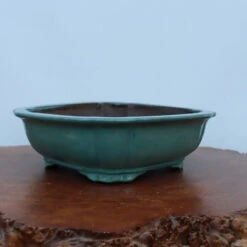 13-Inch Glazed Yixing Bonsai Pot (No. 2323a)