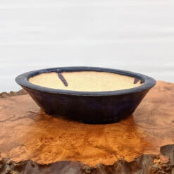 7" Bonsai Pot By Roy Minarai - American Handmade (16)