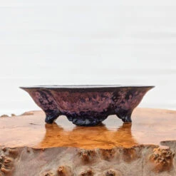 6" Bonsai Pot By Roy Minarai - American Handmade (18)