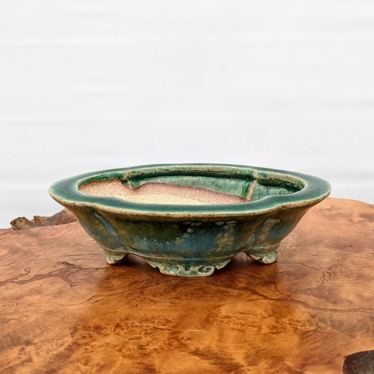 6" Bonsai Pot By Roy Minarai - American Handmade (20) - Image 5