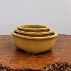 6-12" Glazed Japanese Yellow Bonsai Pot