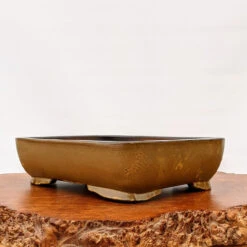 15" Yellow-ish Glazed Yixing Bonsai Pot (No. 1860a)