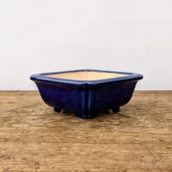 5"Dark Blue Glazed Yixing Bonsai Pot (No. 1859)