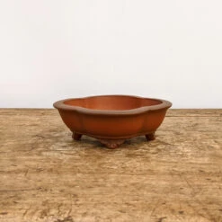 6" Unglazed Yixing Bonsai Pot (No. 1900)