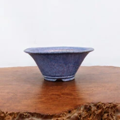 8" Glazed Tokoname Pot - Shuho(No. 1401)