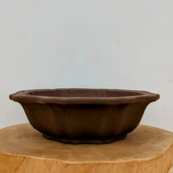 12-Inch Unglazed Yixing Bonsai Pot (No. 2467)