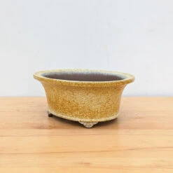 11-Inch Glazed Yixing Bonsai Pot (No. 2306d)