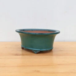 11-Inch Glazed Yixing Bonsai Pot (No. 2306h)
