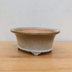 11-Inch Glazed Yixing Bonsai Pot (No. 2306i)