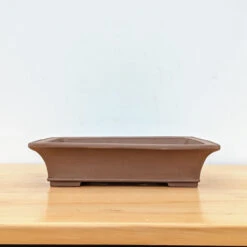 14-Inch Unglazed Yixing Bonsai Pot (No. 2463)
