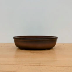 11-Inch Unglazed Yixing Bonsai Pot (No. 2484)